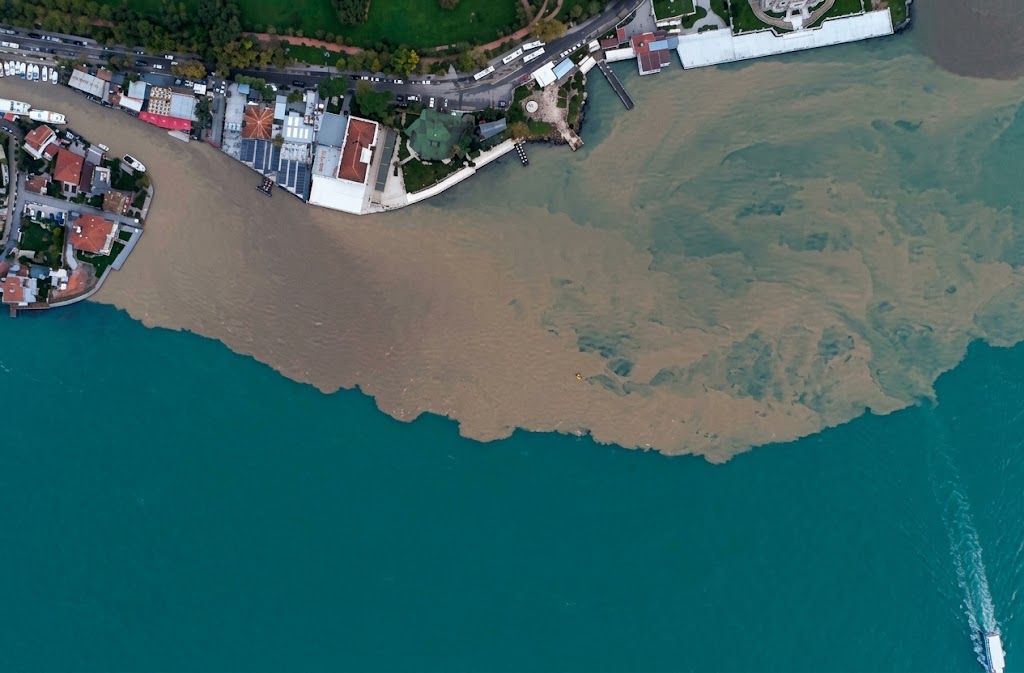 İstanbul boğazının rəngi dəyişdi &ndash; VİDEO
