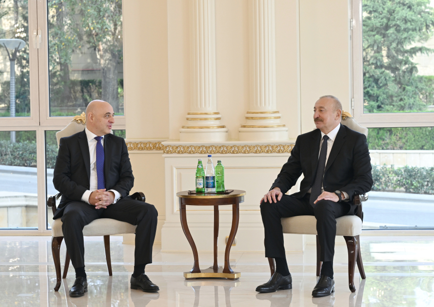 İlham Əliyev Gürcüstanın yeni səfirini qəbul etdi &ndash; FOTO