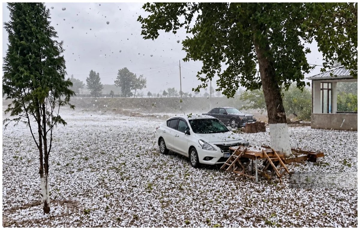Sədərəyə dolu yağdı - VİDEO Sədərəyə dolu yağdı - VİDEO