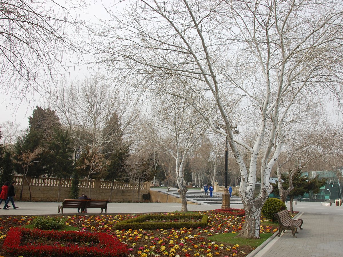 Bakıda sabah 8 dərəcə isti olacaq