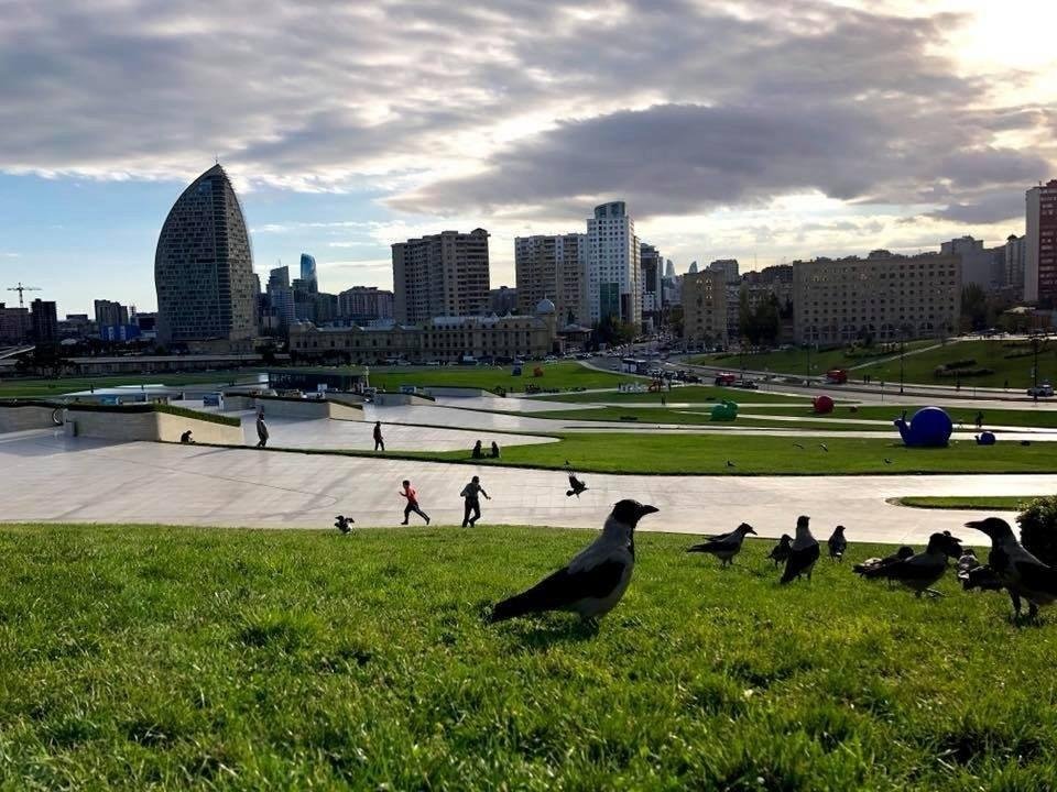 Bu günun hava proqnozu
