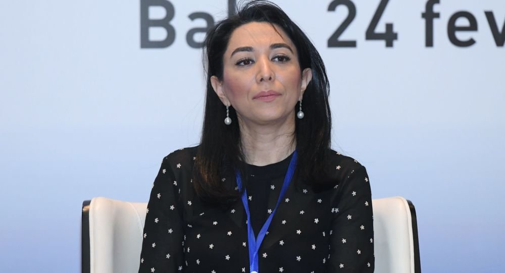 Ombudsman Türkiyədən gələn psixoloqlarla görüşdü