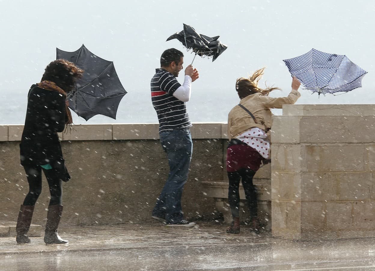 Bakıda güclü küləklə bağlı XƏBƏRDARLIQ