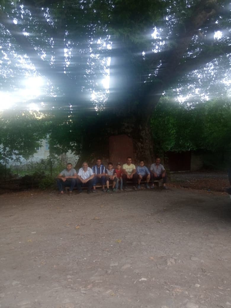 Qubada 675 yaşı olan təbii ABİDƏ - FOTO - foto 3
