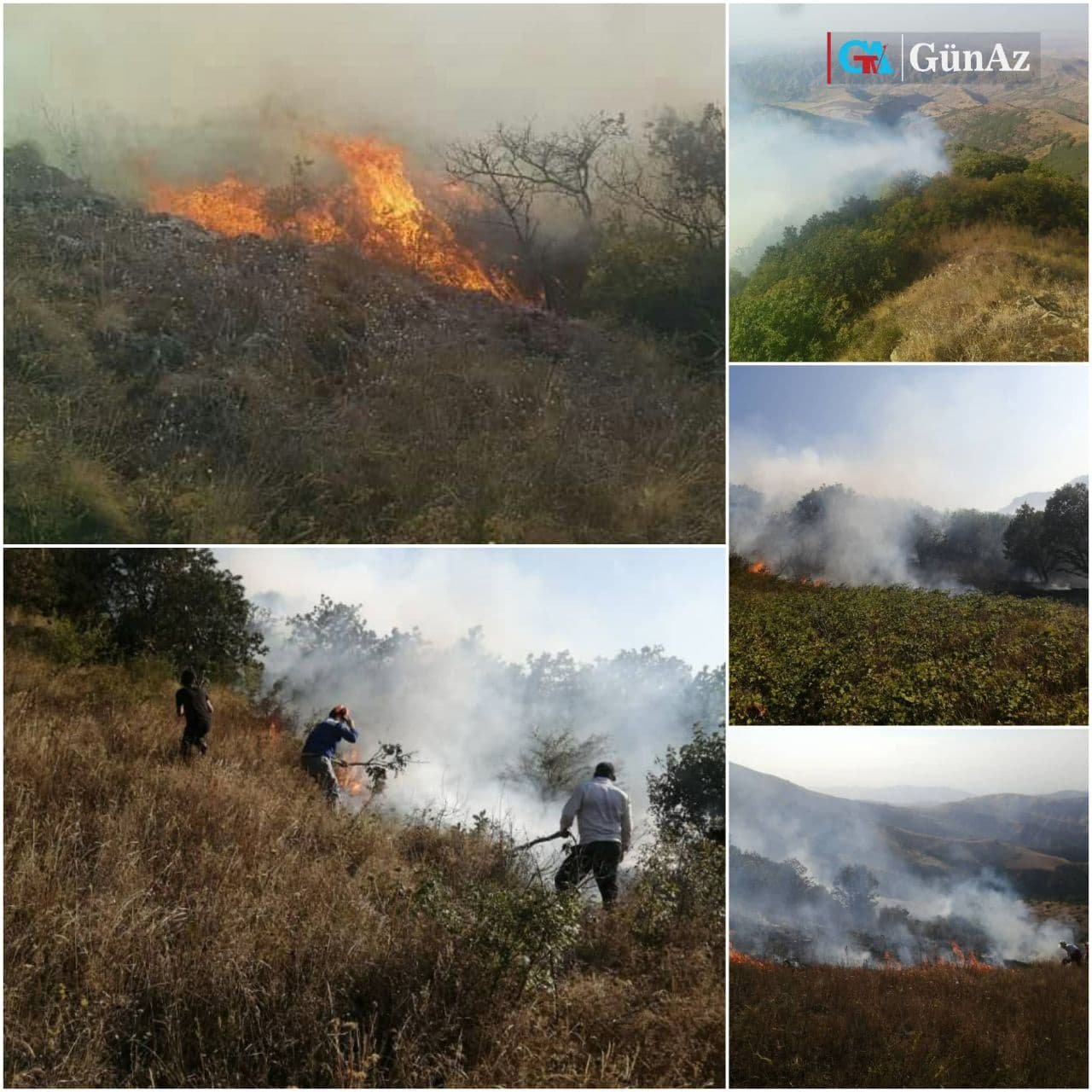Qaradağ meşələri yanır - FOTO - foto 1