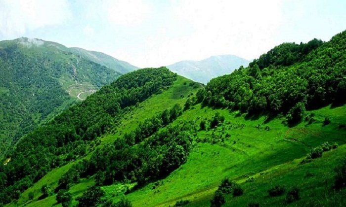 Qaradağ meşələri yanır - FOTO