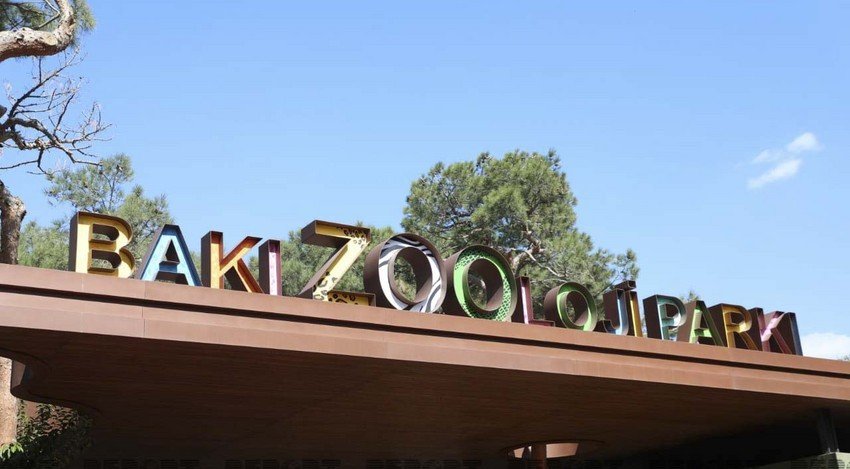 Bakı Zooloji Parkının qarşısında yüzlərlə insan, uzun növbə... - FOTO