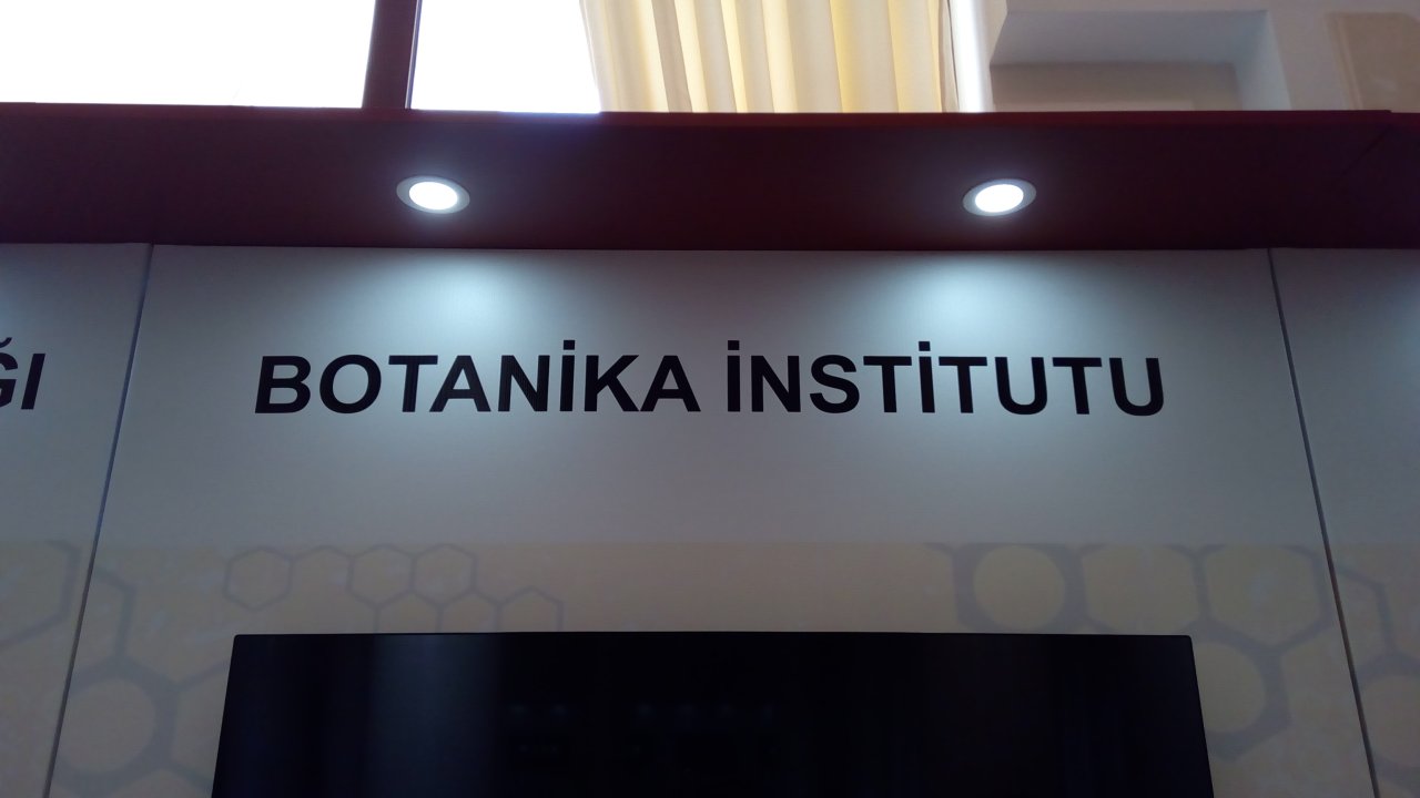 Botanika İnstitutuna qadın professor rəhbərlik edəcək - FOTO