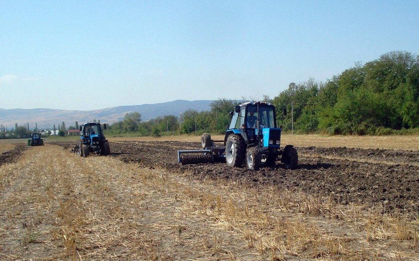 Pay torpaqlarının dürüstləşdirilmə işləri aparılır