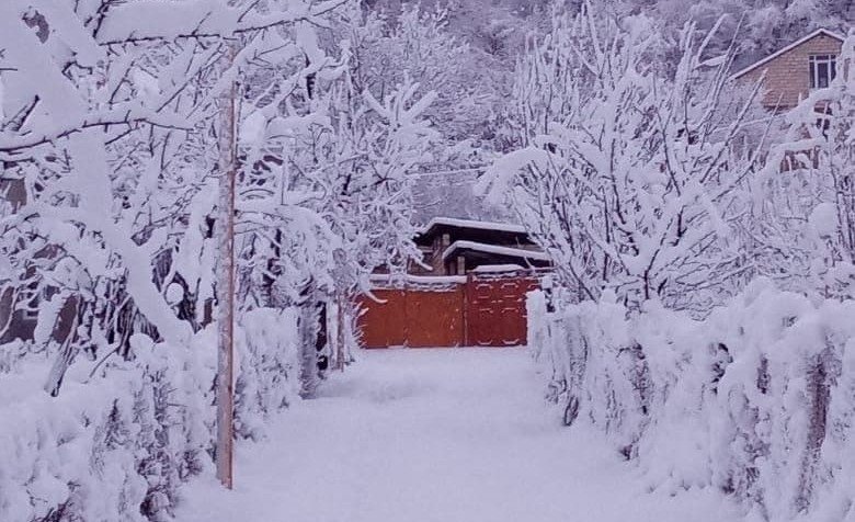 Qubanın Qrız kəndində 11 dərəcə şaxta var - FOTO