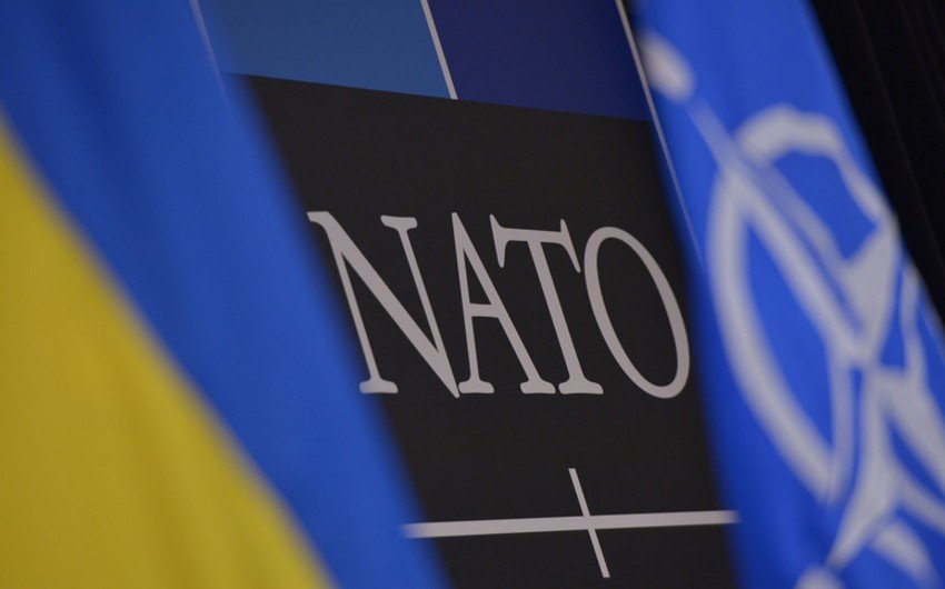 Ukrayna NATO-dan yardım istədi