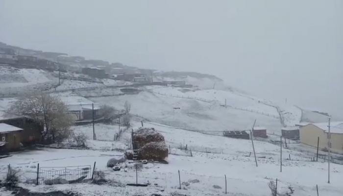 Qubaya güclü qar yağır - Temperatur -2 dərəcəyə enib / VİDEO
