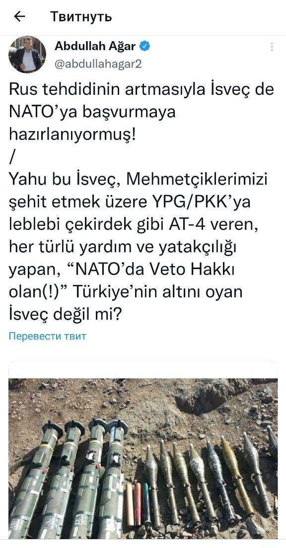 Türkiyəli ekspert İsveçin NATO-ya üzv olmasına etiraz etdi - FOTO - foto 1
