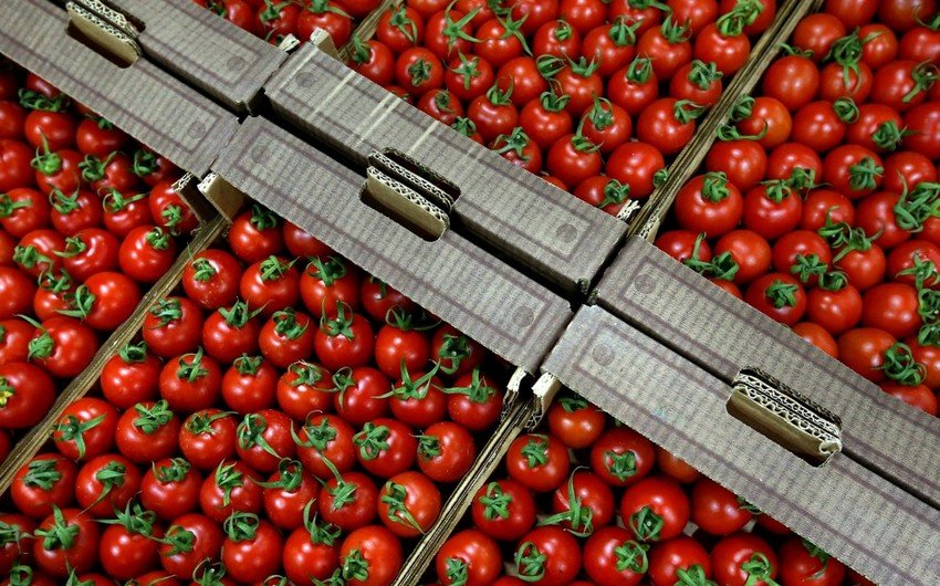 Pomidorun bahalaşmasında PARADOKS – Ekspert “10 gün” dedi Pomidorun bahalaşmasında PARADOKS – Ekspert “10 gün” dedi