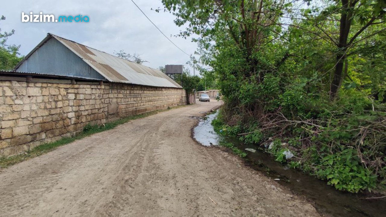 Vəhşi heyvanlar Ağdamın bu kəndinə hücum etdi - FOTO 