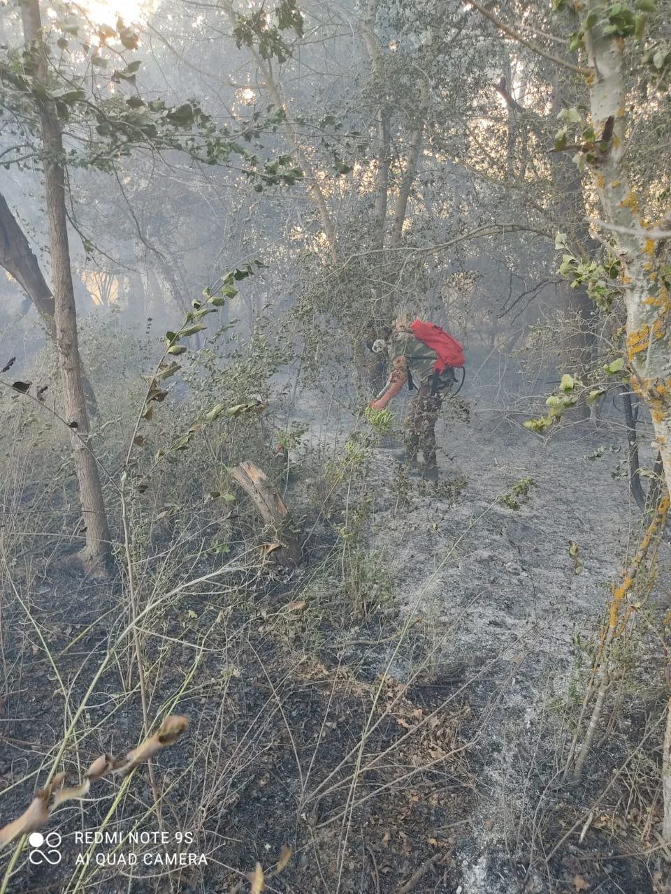 Xaçmazdakı meşə yanğını tam söndürüldü - FOTO - foto 5
