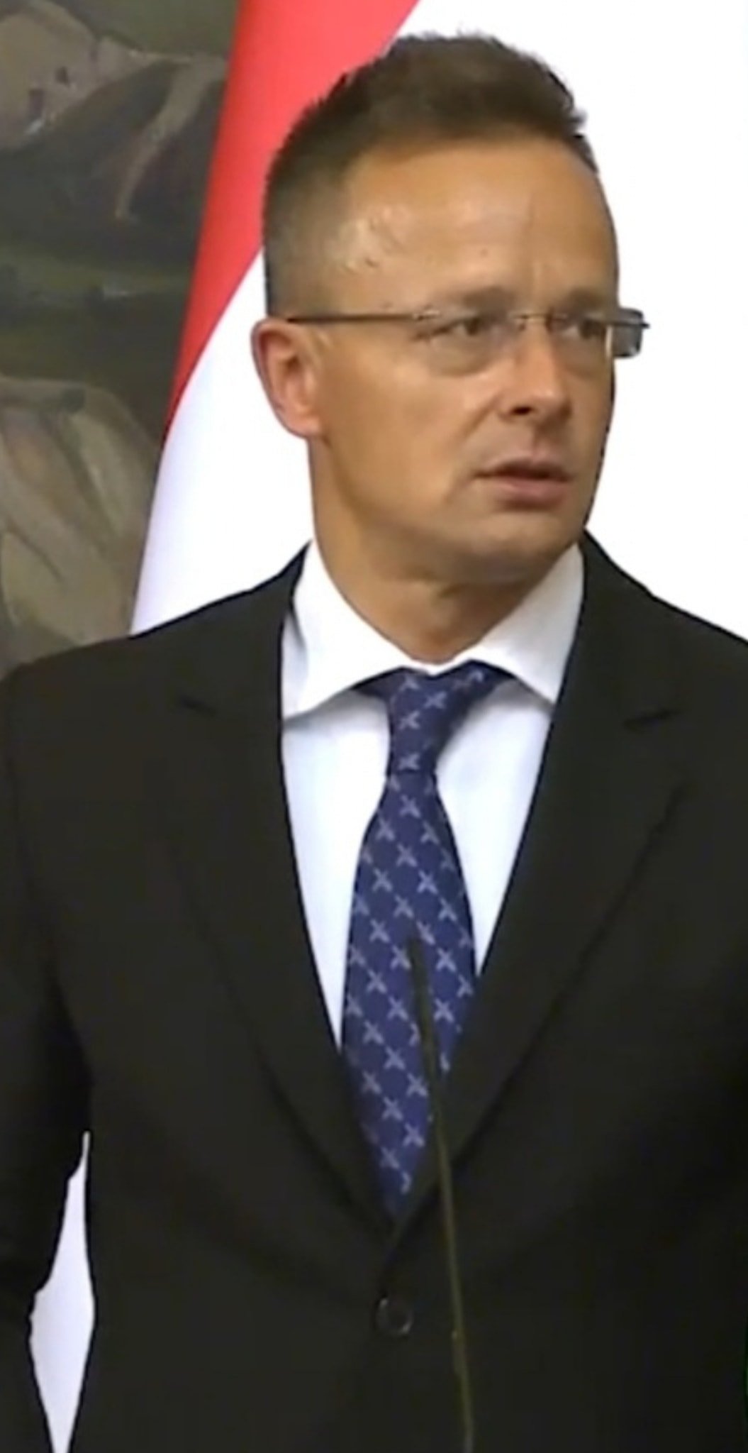 Macarıstanlı nazir Lavrovla görüşə Xarıbülbül qalstuku ilə gəldi - FOTO - foto 2