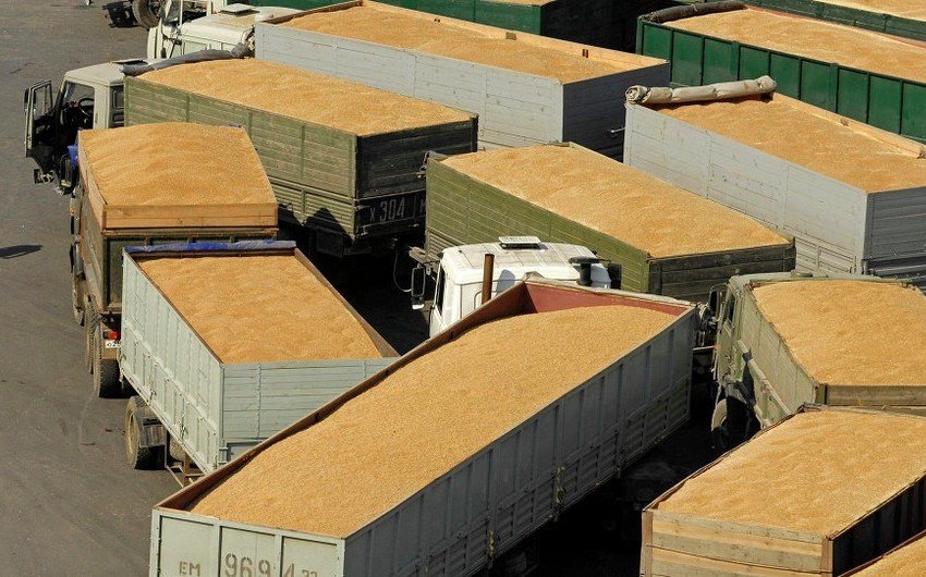 Ukraynadan taxıl ixracının VAXTI AÇIQLANDI Ukraynadan taxıl ixracının VAXTI AÇIQLANDI