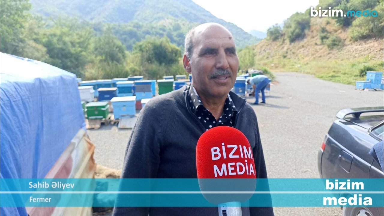 Kəlbəcərə dönən ilk AİLƏLƏR - 30 il sonra 80 baş qoyununu da doğma yurduna qaytardı – VİDEOREPORTAJ - foto 2