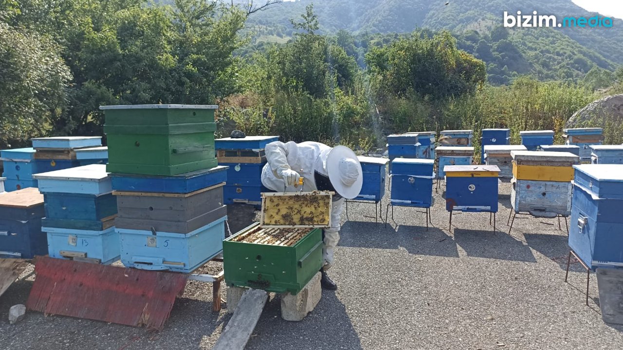 Kəlbəcərə dönən ilk AİLƏLƏR - 30 il sonra 80 baş qoyununu da doğma yurduna qaytardı – VİDEOREPORTAJ - foto 1