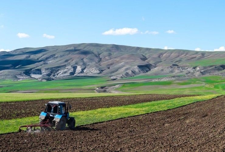 Azərbaycanda payızlıq əkin bəyanlarının qəbuluna başlanıldı