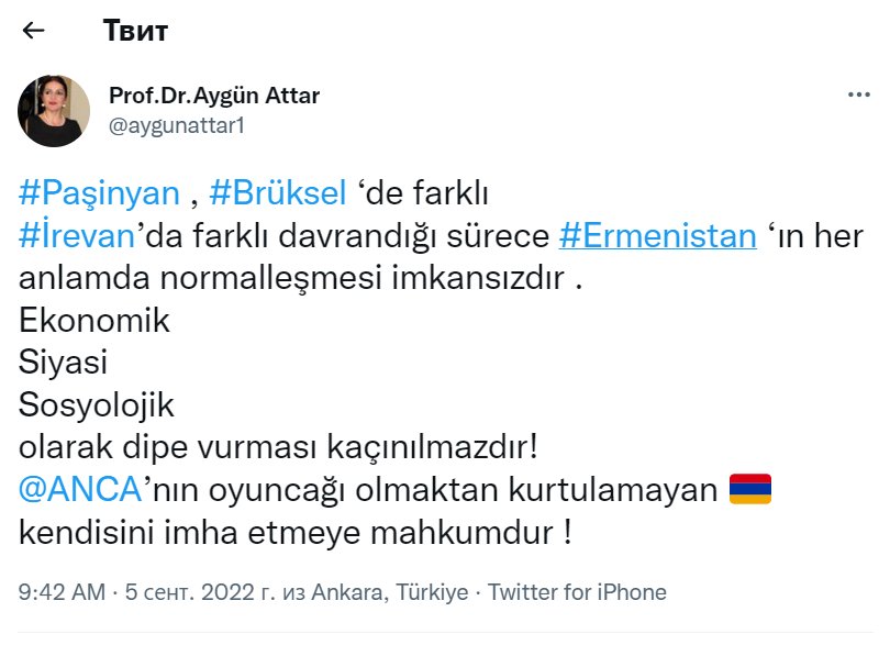 Türkiyə Prezidenti yanında Şura üzvündən Ermənistana XƏBƏRDARLIQ - foto 1