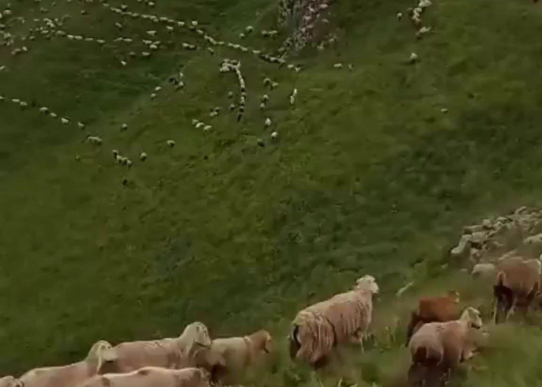 Cənnət Kəlbəcərdən yeni GÖRÜNTÜLƏR Cənnət Kəlbəcərdən yeni GÖRÜNTÜLƏR