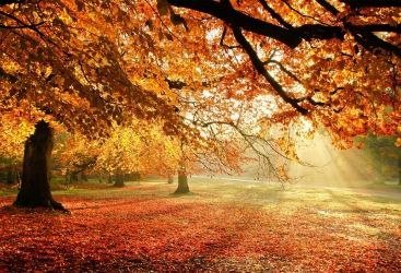 ŞAD XƏBƏR: Oktyabrda orta aylıq temperatur iqlim normasına yaxın olacaq