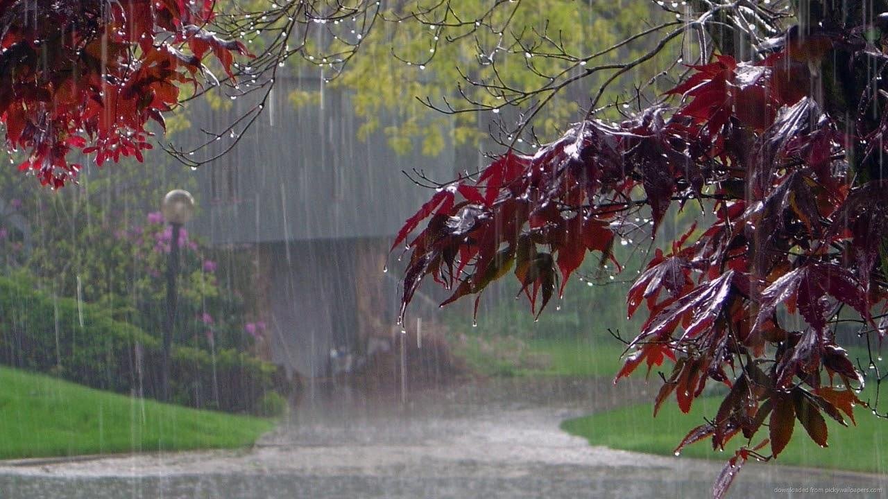 Yağıntılı hava noyabrın 8-dək davam edəcək