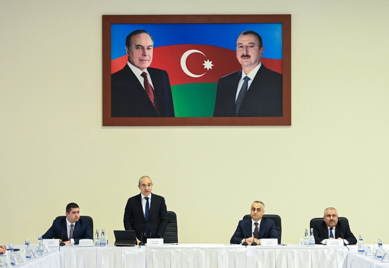 Mikayıl Cabbarov: “Naxçıvanın inkişafı üçün mövcud biznes mexanizmlərini tətbiq edəcəyik” - foto 2