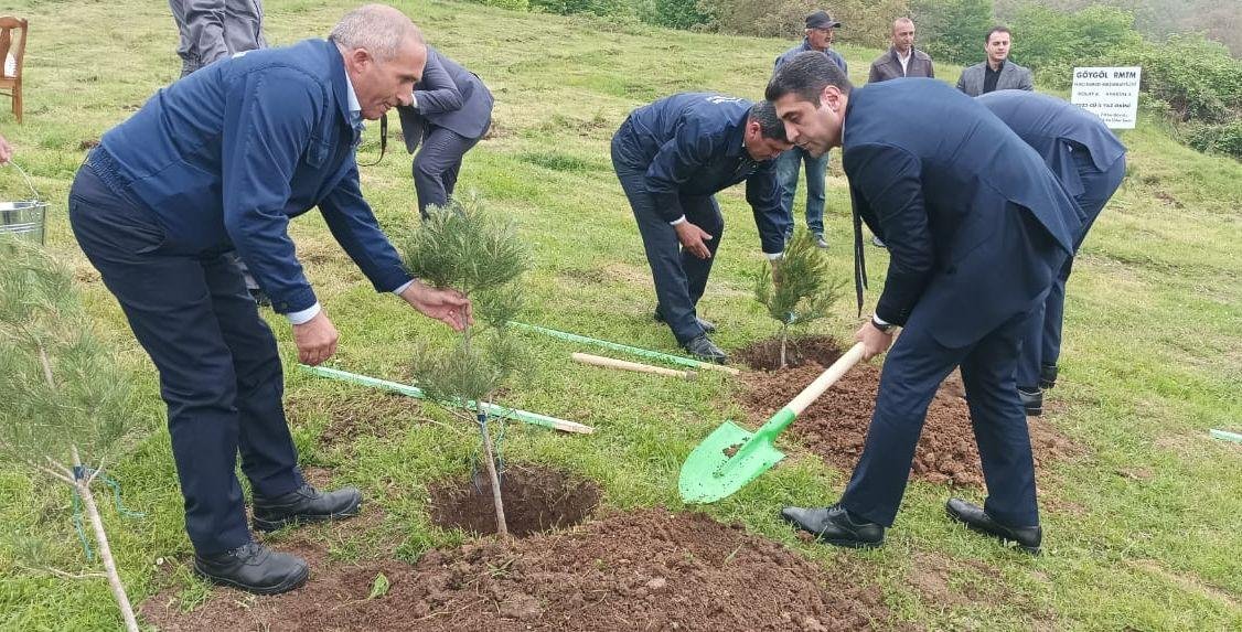 Göygöldə ağacəkmə aksiyası və balıq buraxılışı həyata keçirilib - FOTO  - foto 4