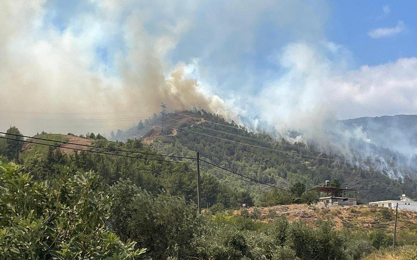 Hatayda meşə yanır: Helikopterlər cəlb edildi
