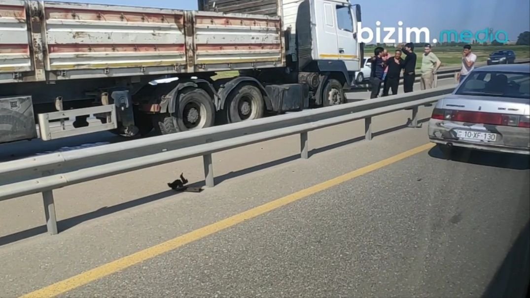 Goranboyda ağır qəza: 2 yük maşını TOQQUŞDU - VİDEO