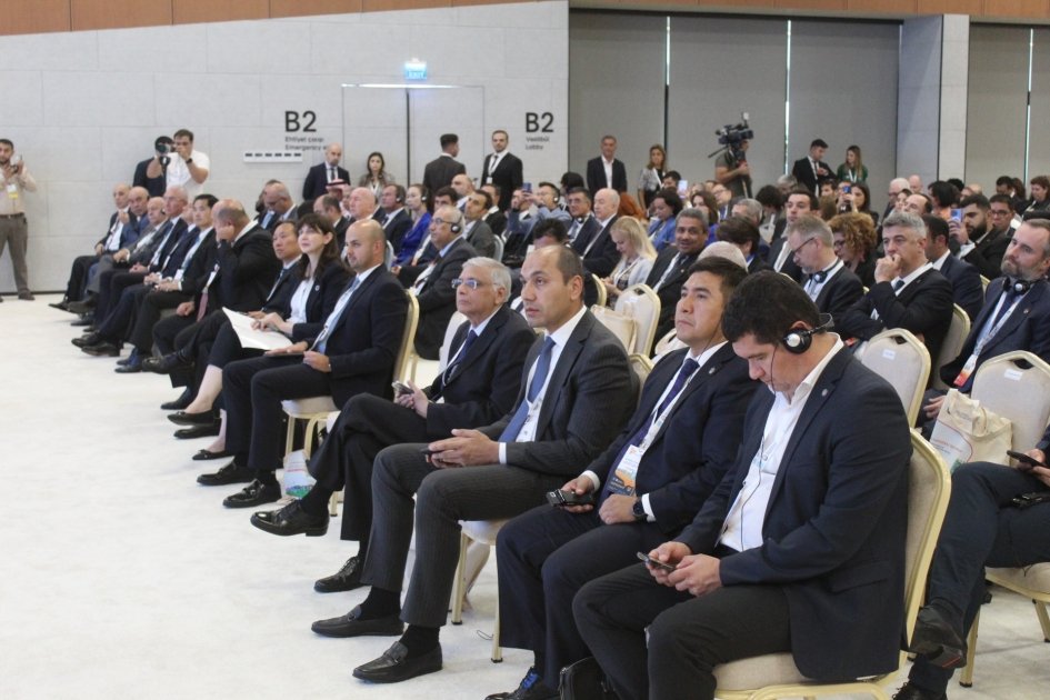 Zəngilandakı Forum plenar sessiyalarda işini davam etdirib - FOTO/VİDEO  - foto 1