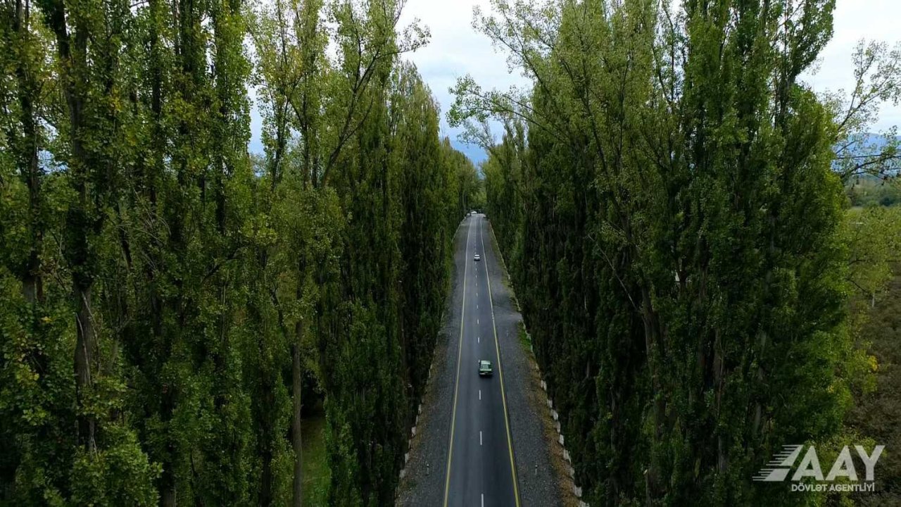 Zaqatalada bu yol yenidən quruldu - FOTO/VİDEO - foto 1