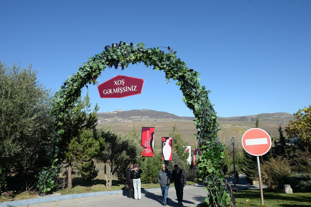 Şamaxıda II Üzüm və Şərab Festivalı başa çatdı - FOTO - foto 10