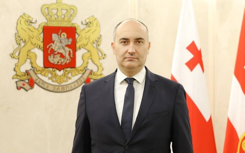 Gürcüstanın müdafiə naziri Azərbaycana GƏLDİ 