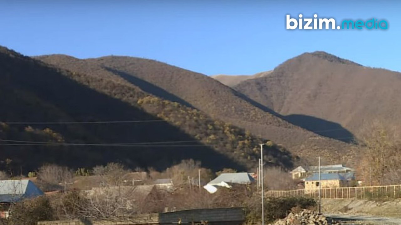 Şəkinin çağırılmamış “QONAQ”LARI – Ayılar artıq kəndlərə də GƏLİRLƏR – FOTO - foto 1