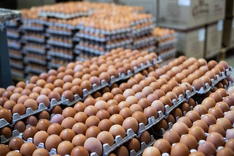 Rusiya yumurta idxalı üçün rüsumları LƏĞV ETDİ 