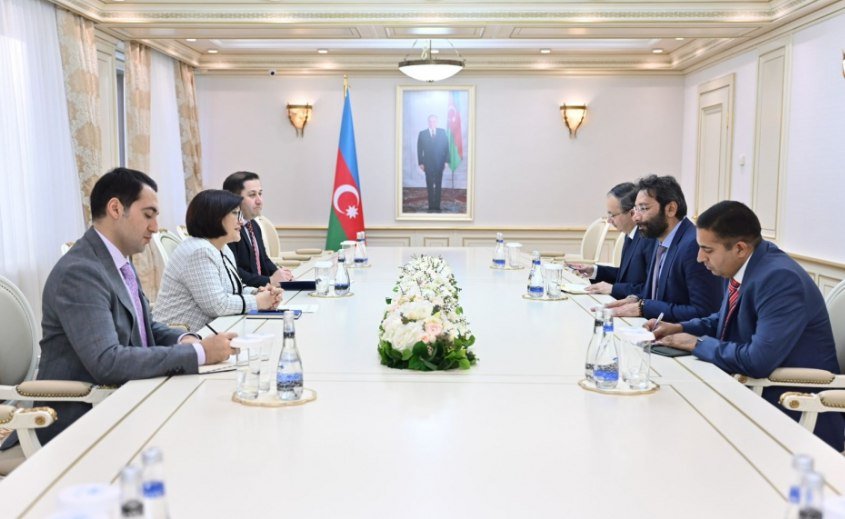 Müşahidə missiyalarının üzvləri: “Azərbaycan beynəlxalq ictimaiyyətə açıq ölkədir” - FOTO