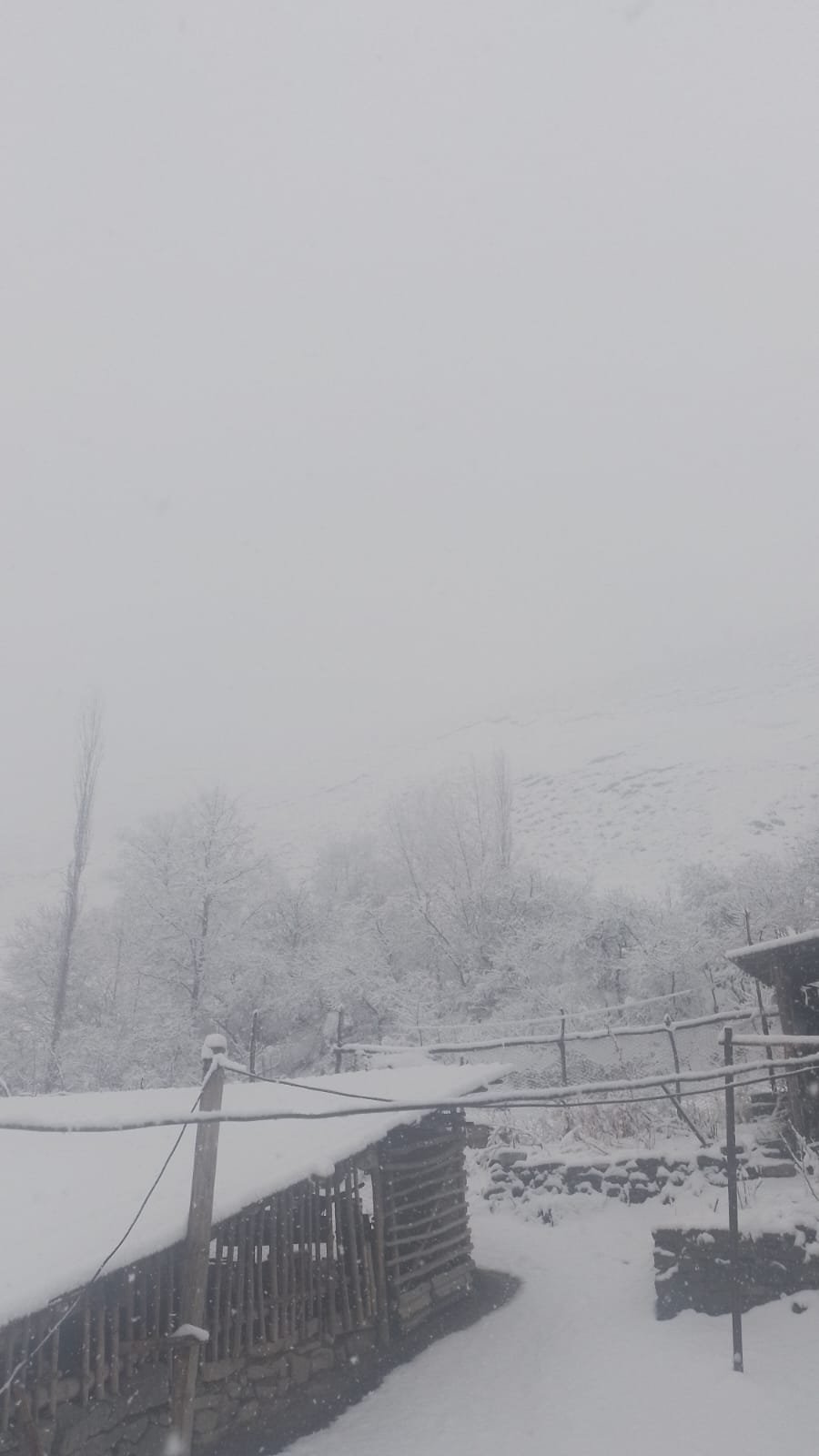 Quba və Qusar ilaxır çərşənbəni qarla qarşıladı - FOTO/VİDEO - foto 4