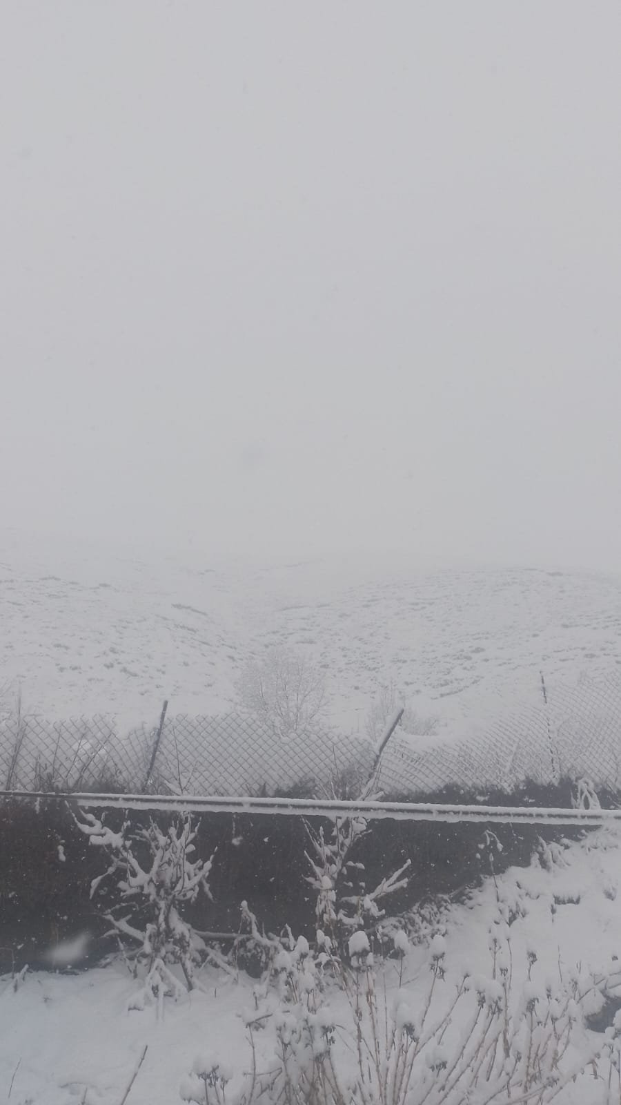 Quba və Qusar ilaxır çərşənbəni qarla qarşıladı - FOTO/VİDEO - foto 2