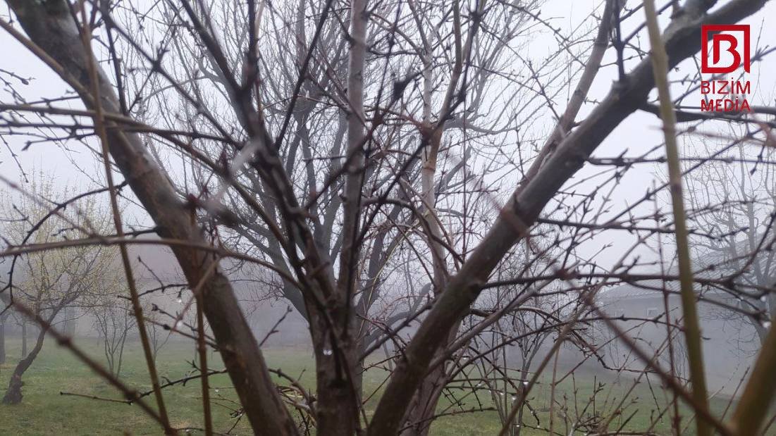 Bu bölgəmizə də fasilə vermədən yağış yağır - FOTO/VİDEO - foto 2