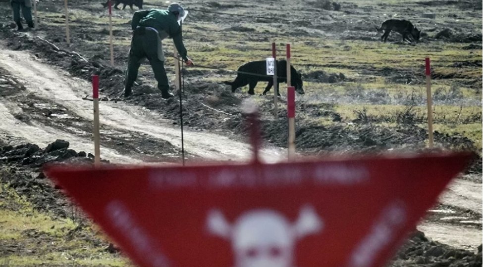 Ermənistanın basdırdığı minalar qazıntı işlərinin aparılmasına maneə yaradır - BƏYANAT
