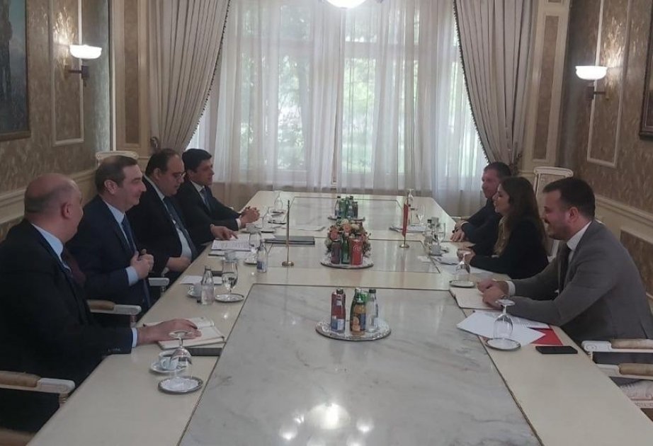 Azərbaycan və Monteneqro XİN arasında konsulluq məsləhətləşmələri keçirilib