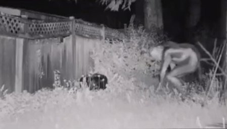ABŞ-da 3 metr boyu olan naməlum varlıq tapıldı - ANBAAN VİDEO ABŞ-da 3 metr boyu olan naməlum varlıq tapıldı - ANBAAN VİDEO