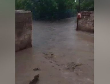 Daşqınlar azərbaycanlıların yaşadığı Marneuli və Bolnisi rayonlarında problemlər yaratdı - VİDEO