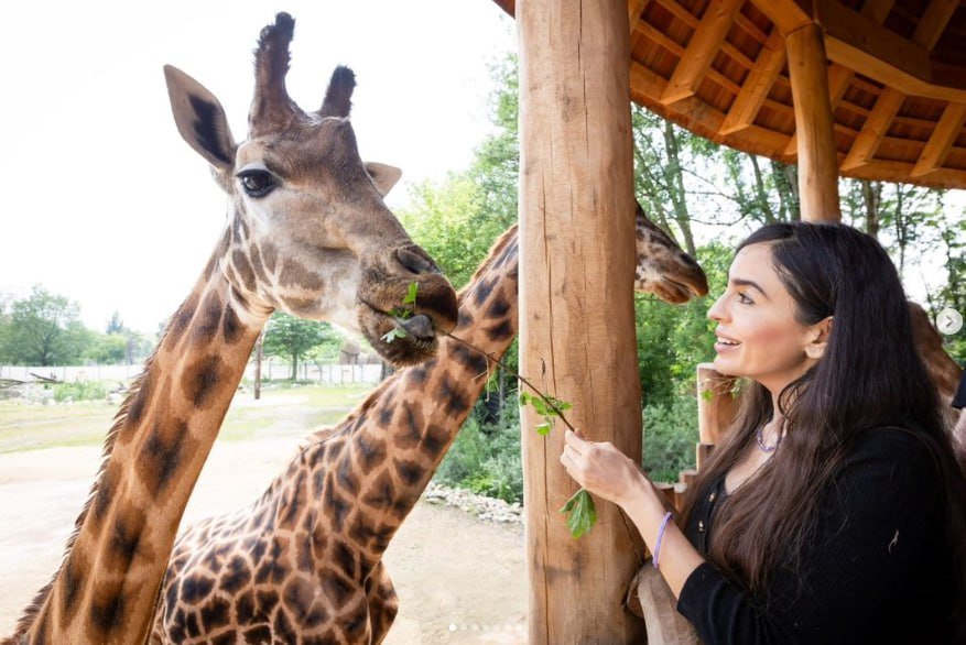 Leyla Əliyeva Berlin zooparkından görüntülər paylaşdı - FOTO