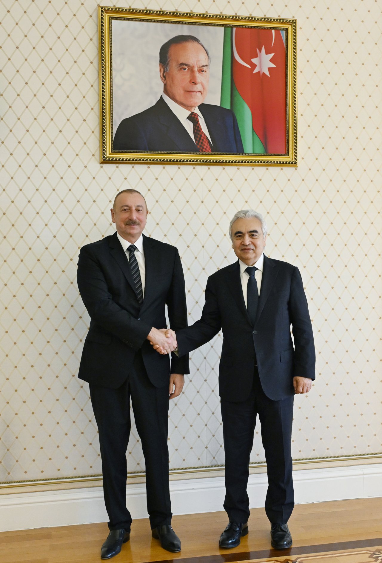 İlham Əliyev Beynəlxalq Enerji Agentliyinin icraçı direktorunu qəbul edib - FOTO/VİDEO - foto 1