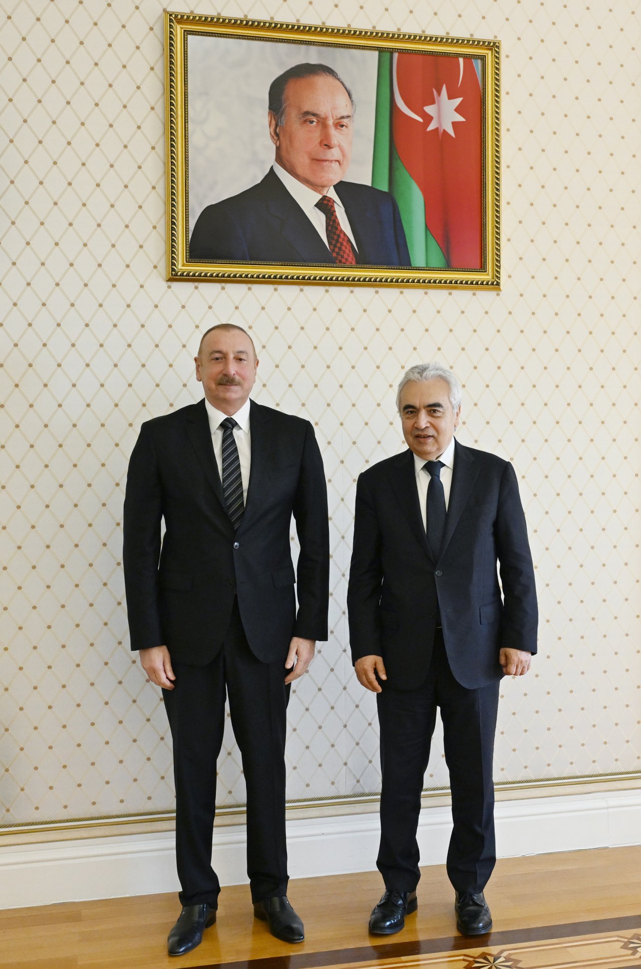 İlham Əliyev Beynəlxalq Enerji Agentliyinin icraçı direktorunu qəbul edib - FOTO/VİDEO - foto 2